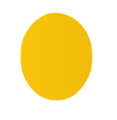 contact left side shape